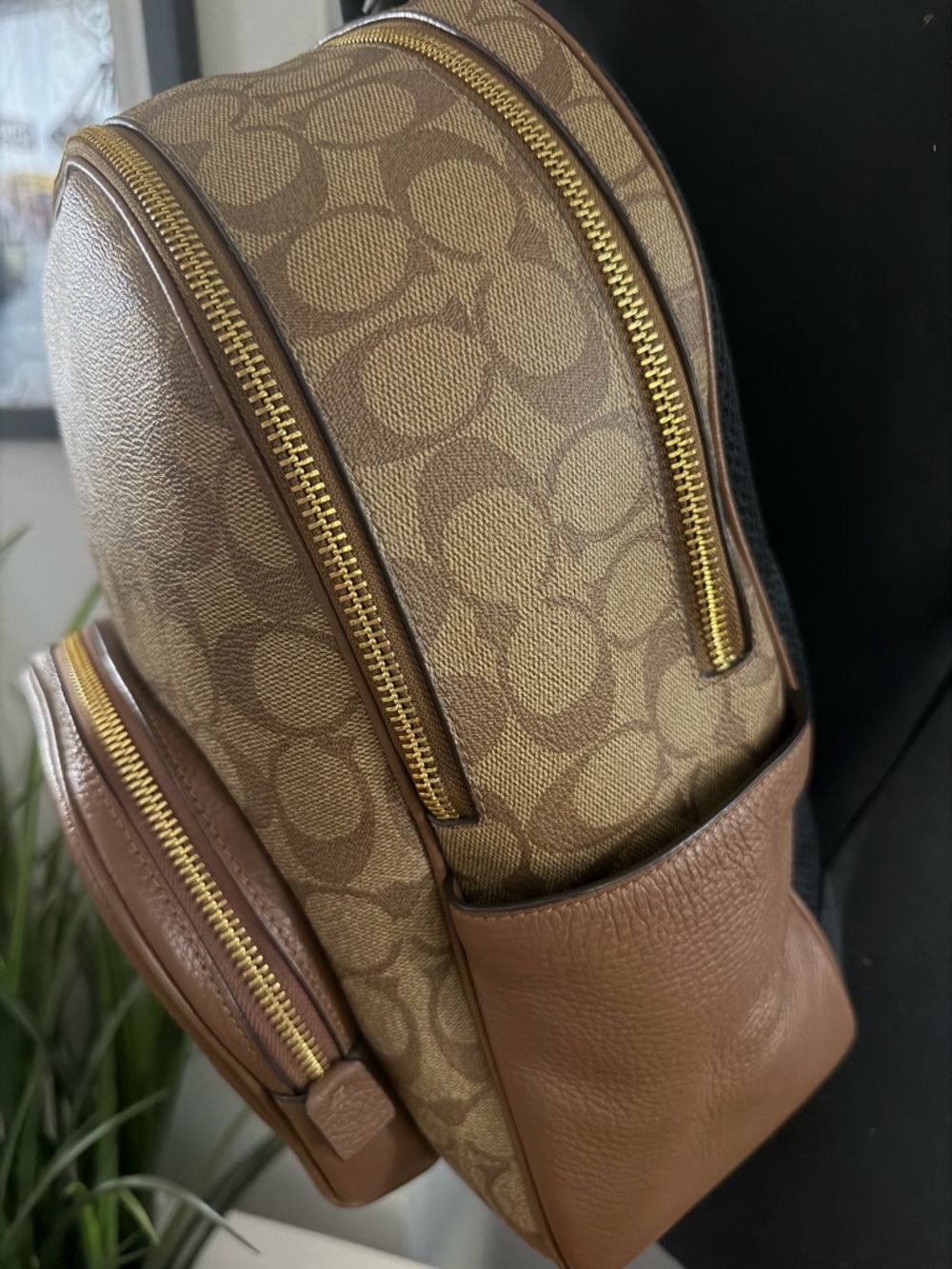 Coach Court Signature Backpack - Picture 14 of 16